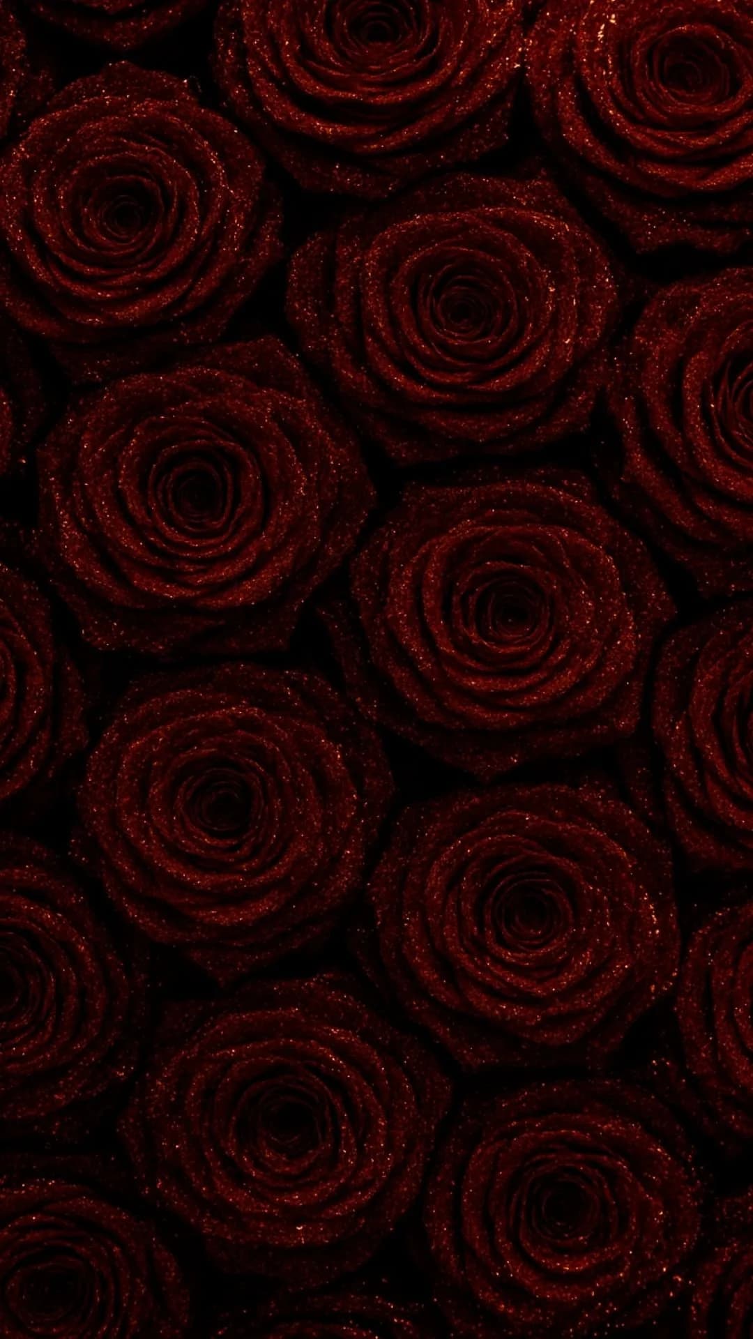 Red rose wall detail at OCCO